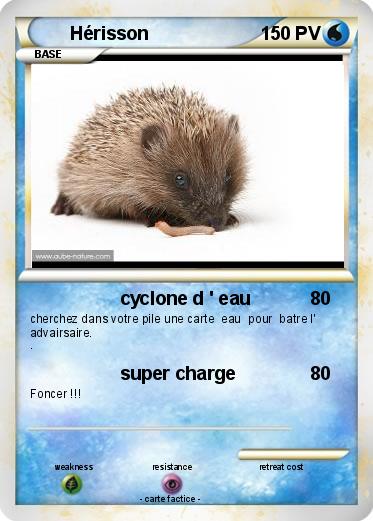 Pokemon Hérisson