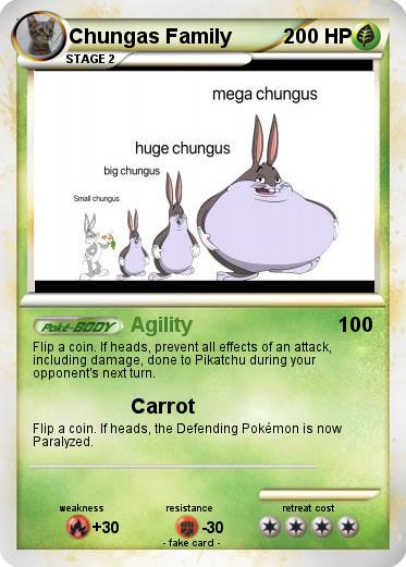 Pokemon Chungas Family