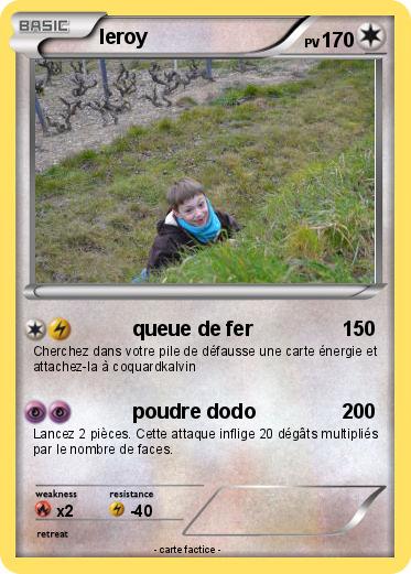 Pokemon leroy