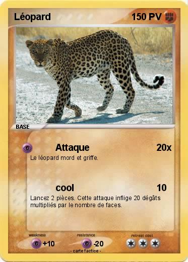 Pokemon Léopard
