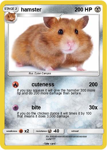 Pokemon hamster