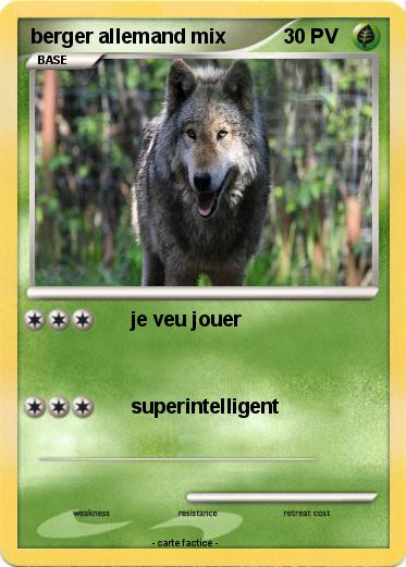 Pokemon berger allemand mix