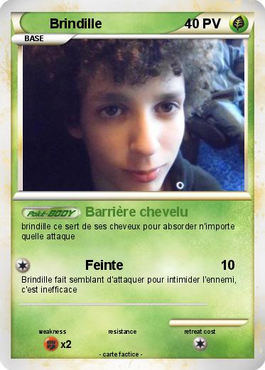 Pokemon Brindille