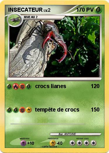 Pokemon INSECATEUR