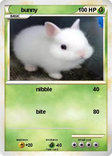 Pokemon bunny