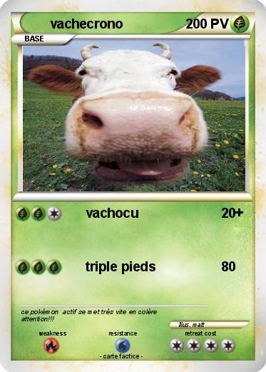 Pokemon vachecrono