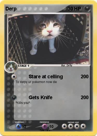 Pokemon Derp