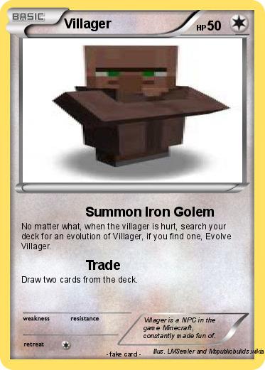 Pokemon Villager