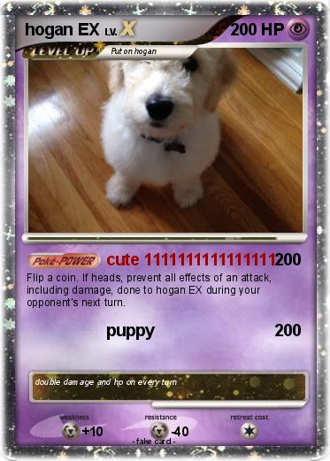Pokemon hogan EX