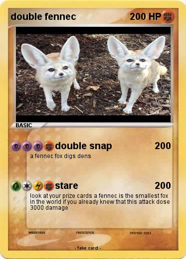 Pokemon double fennec