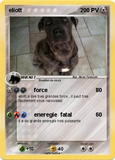 Pokemon eliott