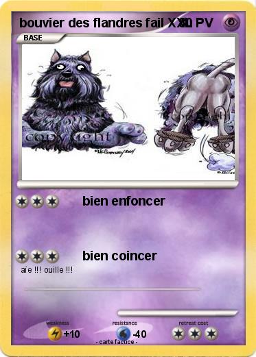 Pokemon bouvier des flandres fail XXL