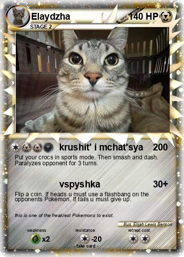 Pokemon Elaydzha
