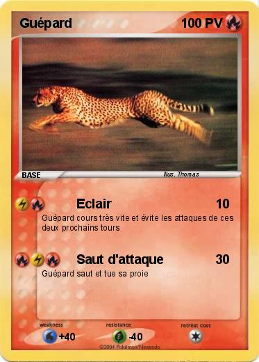 Pokemon Guépard