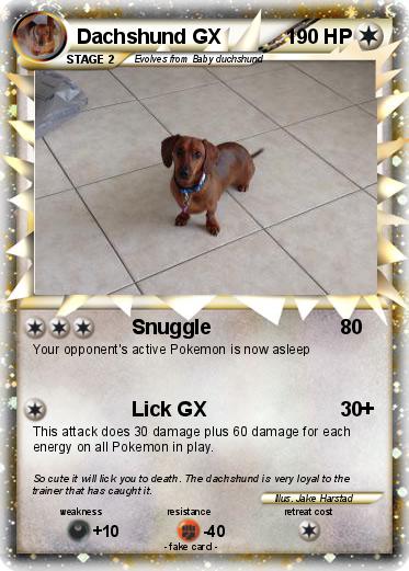 Pokemon Dachshund GX