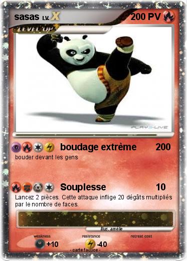 Pokemon sasas