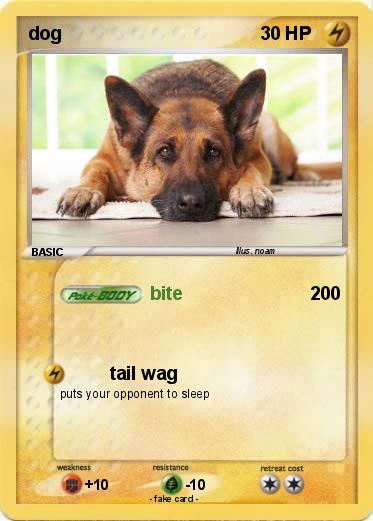 Pokemon dog