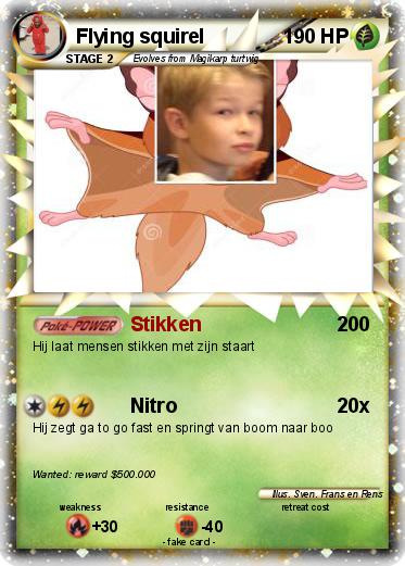 Pokemon Flying squirel