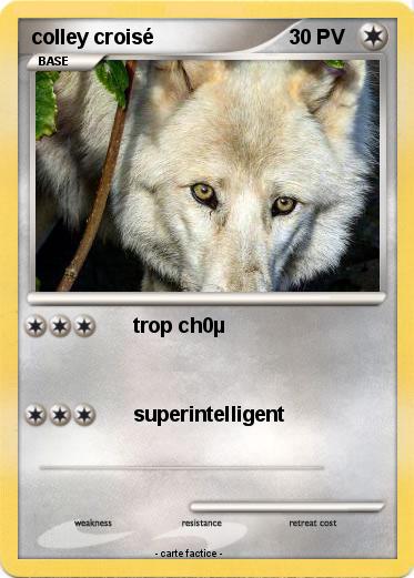 Pokemon colley croisé