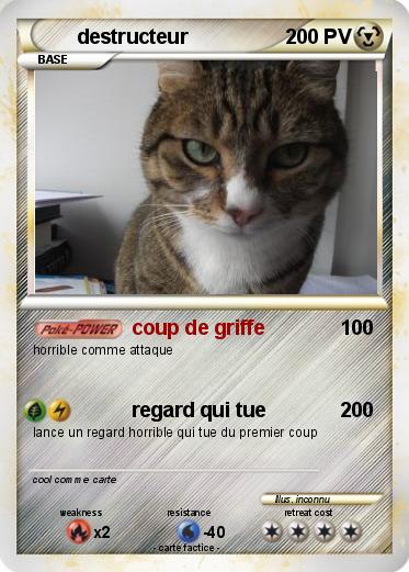 Pokemon destructeur