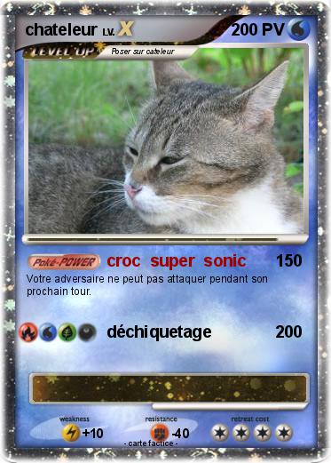 Pokemon chateleur