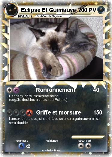 Pokemon Eclipse Et Guimauve