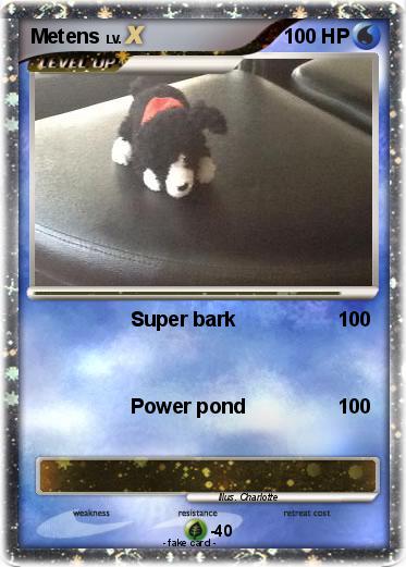 Pokemon Metens