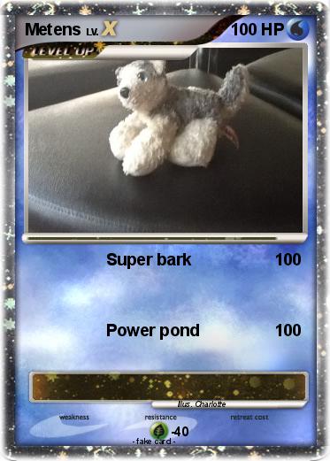 Pokemon Metens