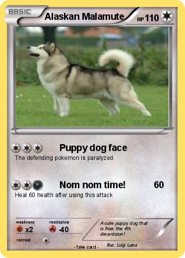 Pokemon Alaskan Malamute