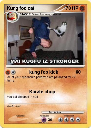 Pokemon Kung foo cat