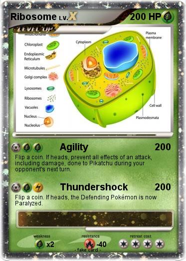 Pokemon Ribosome