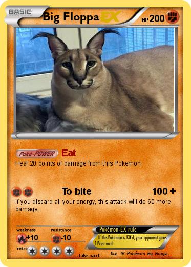 Pokemon Big Floppa