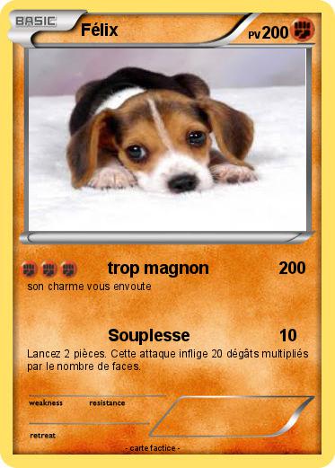 Pokemon Félix