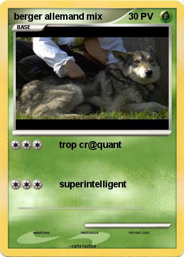 Pokemon berger allemand mix