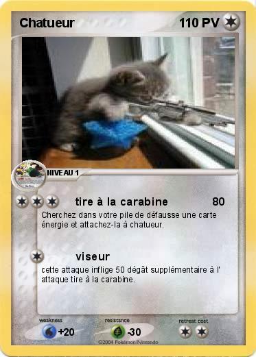 Pokemon Chatueur