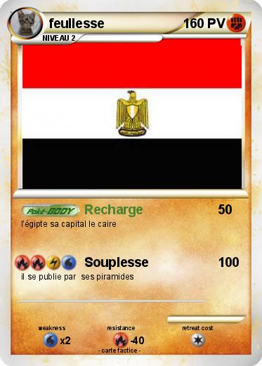 Pokemon feullesse