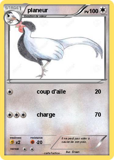 Pokemon planeur