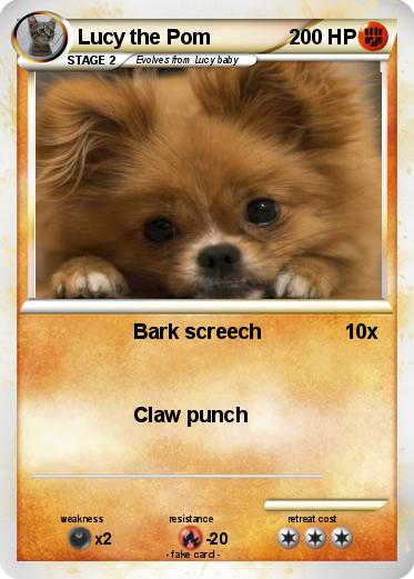 Pokemon Lucy the Pom