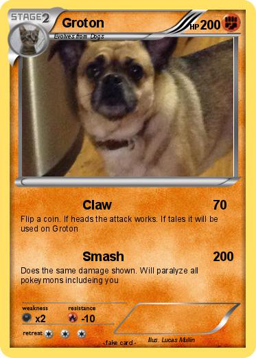 Pokemon Groton