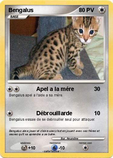 Pokemon Bengalus