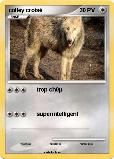 Pokemon colley croisé