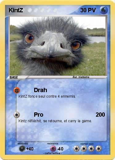 Pokemon KintZ