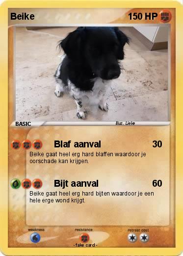 Pokemon Beike
