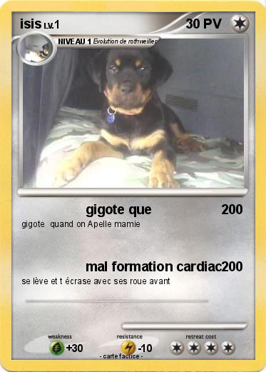 Pokemon isis