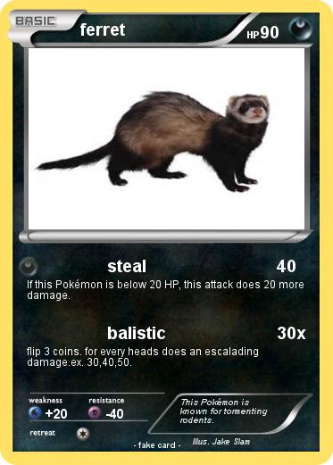 Pokemon ferret