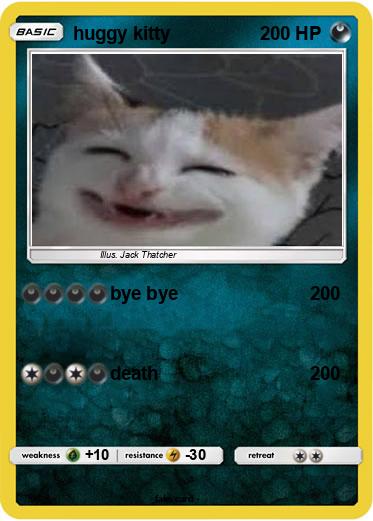 Pokemon huggy kitty