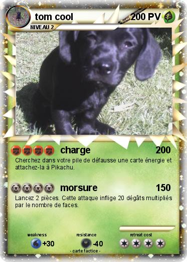 Pokemon tom cool