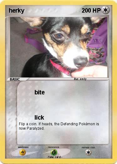 Pokemon herky