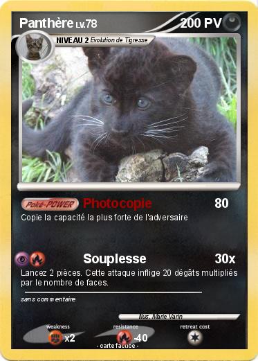 Pokemon Panthère