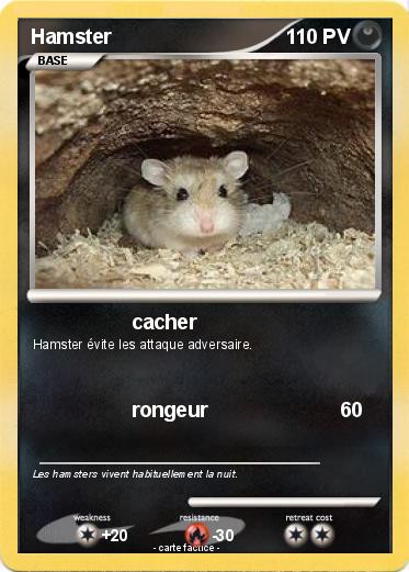 Pokemon Hamster